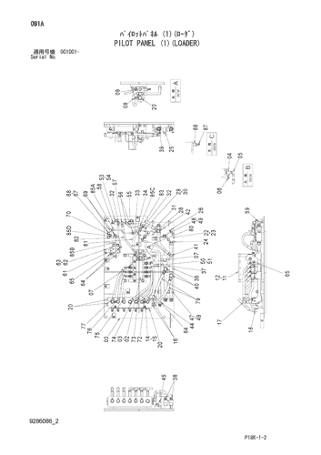 PILOT PANEL (1)(LOADER)