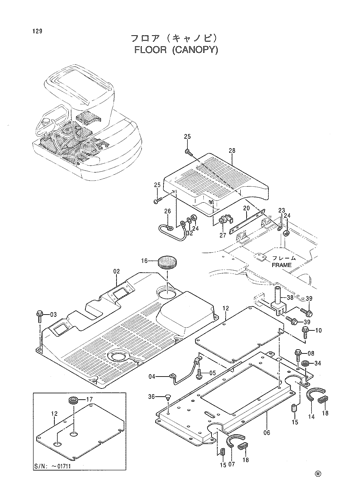 FLOOR (CANOPY)