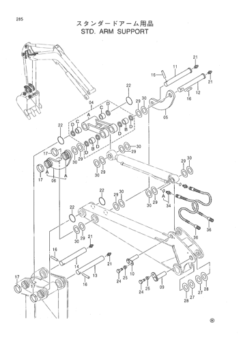 STD. ARM
