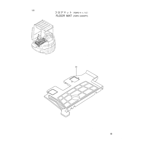 FLOOR MAT (TOPS CANOPY)