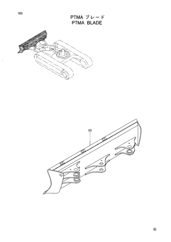 PTMA