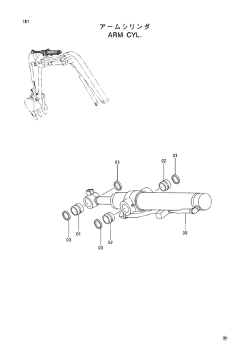 ARM CYL.