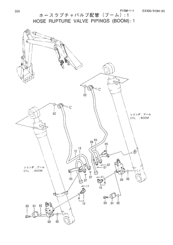 HOSE RUPTURE VALVE PIPINGS (BOOM) -1