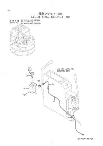 ELECTRICAL SOCKET [EU]