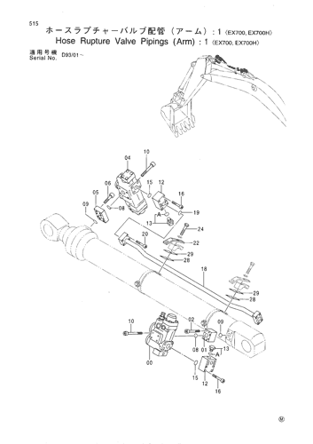 HOSE RUPTURE VALVE PIPINGS (ARM) -1 -EX700,