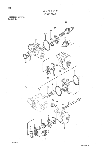 PUMP;GEAR
