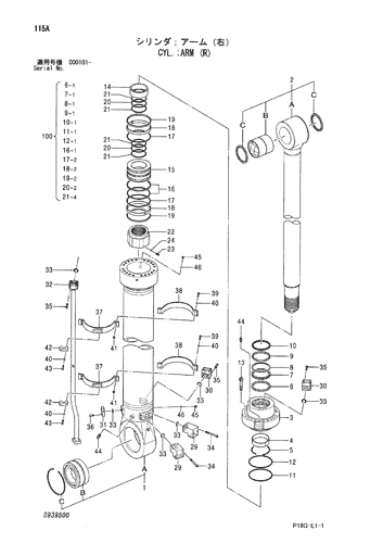 CYL.;ARM (R)