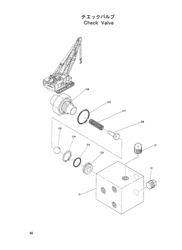 Check Valve
