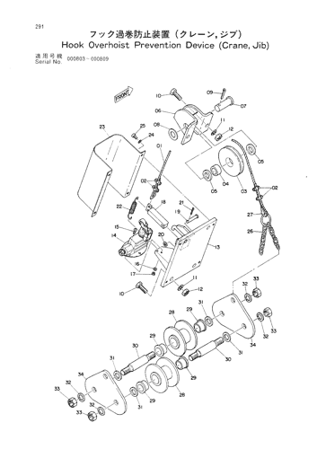 HOOK OVERHOIST PREVENTION DEVICE (CRANE, JIB)