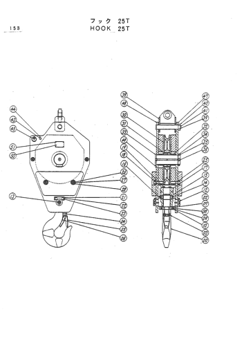 HOOK 25T