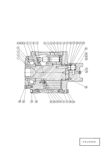 PLUNGER MOTOR (SWING)