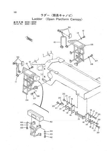 LADDER -OPEN PLATFORM CANOPY-