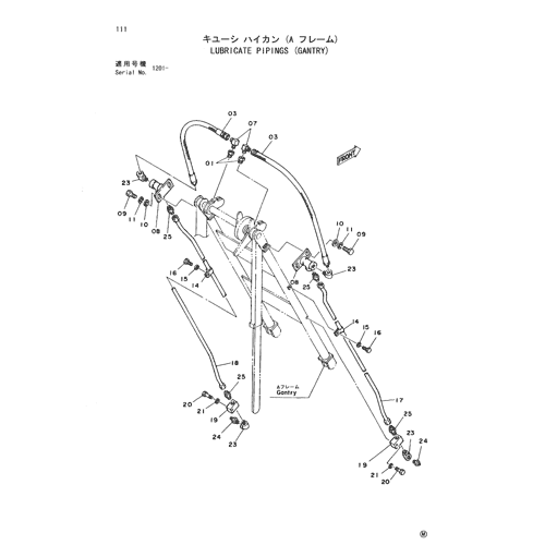 LUBRICATE PIPINGS (GANTRY)