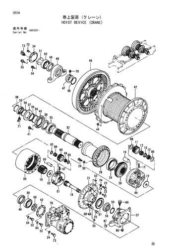 HOIST DEVICE (CRANE)