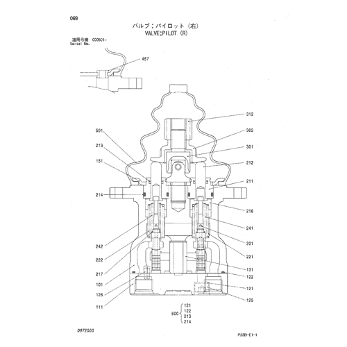 VALVE;PILOT (R)