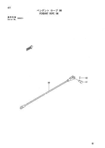 PENDANT ROPE 9M