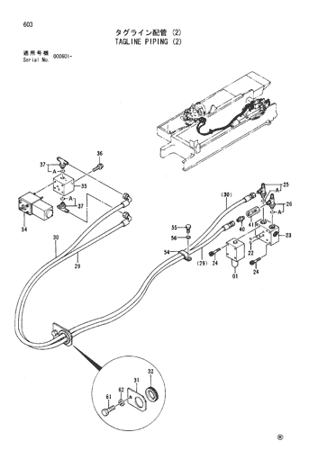 TAGLINE PIPING (2)