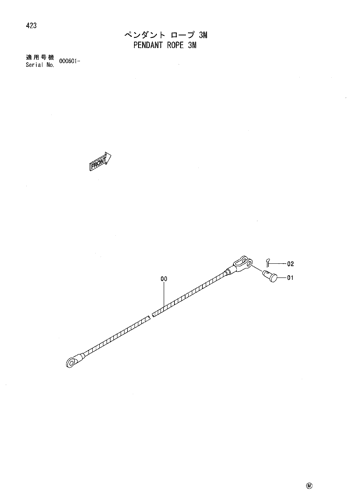 PENDANT ROPE 3M