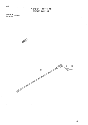 PENDANT ROPE 6M