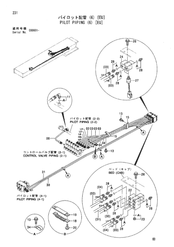 PILOT PIPING (6) [EU]