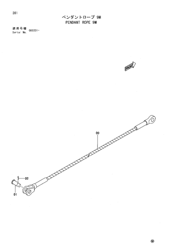 PENDANT ROPE 9M