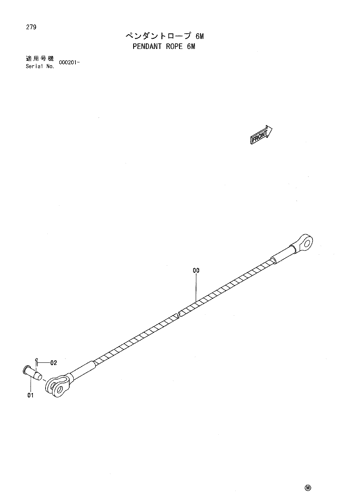 PENDANT ROPE 6M
