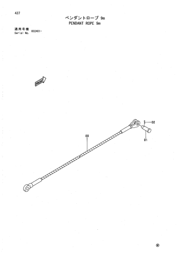 PENDANT ROPE 9m