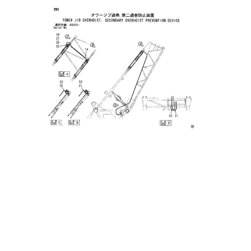 TOWER JIB OVERHOIST,