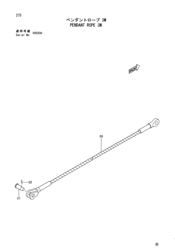 PENDANT ROPE 3M