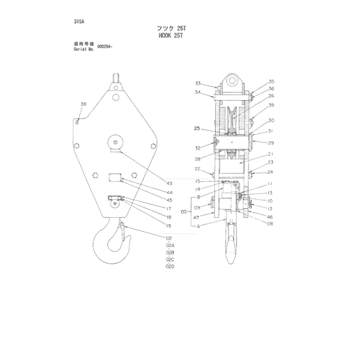 HOOK 25T