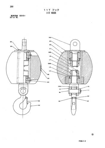 11T