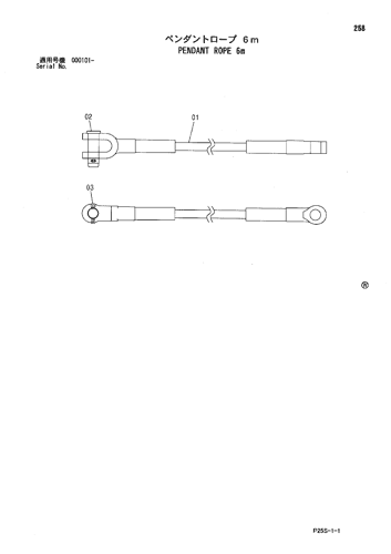 PENDANT ROPE 6m