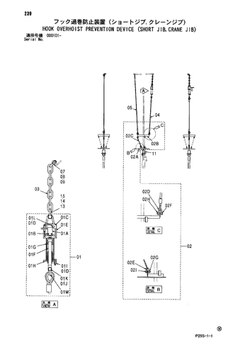 HOOK OVERHOIST PREVENTION DEVICE (SHORT JIB,CRANE JIB)