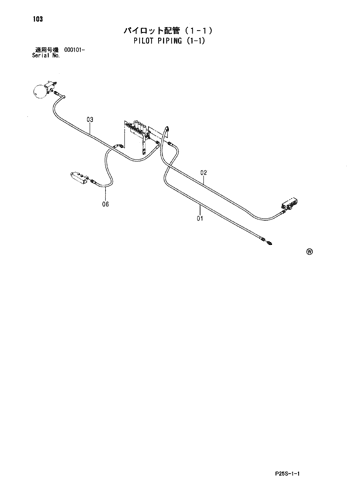 PILOT PIPING (1-1)