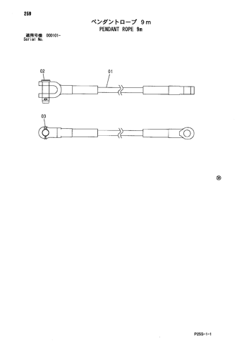 PENDANT ROPE 9m