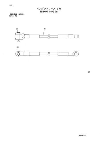 PENDANT ROPE 3m