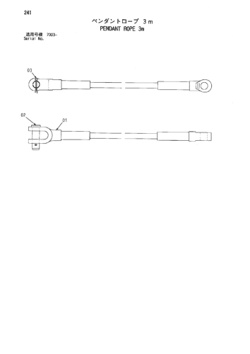 PENDANT ROPE 3m