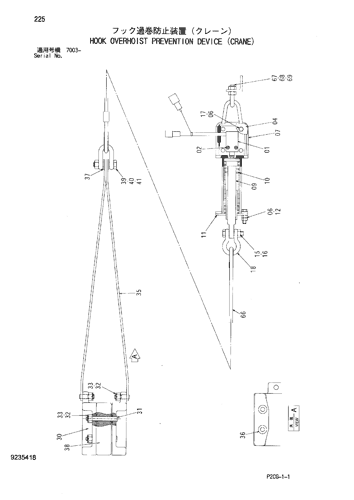 HOOK OVERHOIST PREVENTION DEVICE (CRANE)