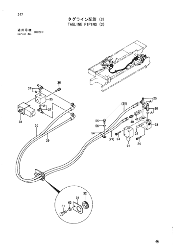 TAGLINE PIPING (2)