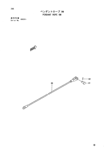 PENDANT ROPE 9M