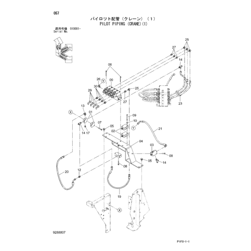 PILOT PIPING (CRANE)(1)