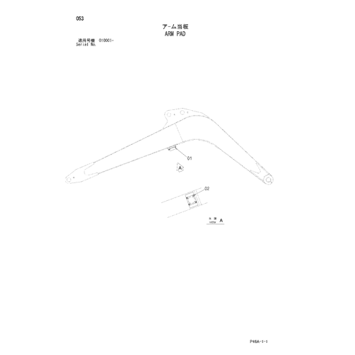 ARM PAD
